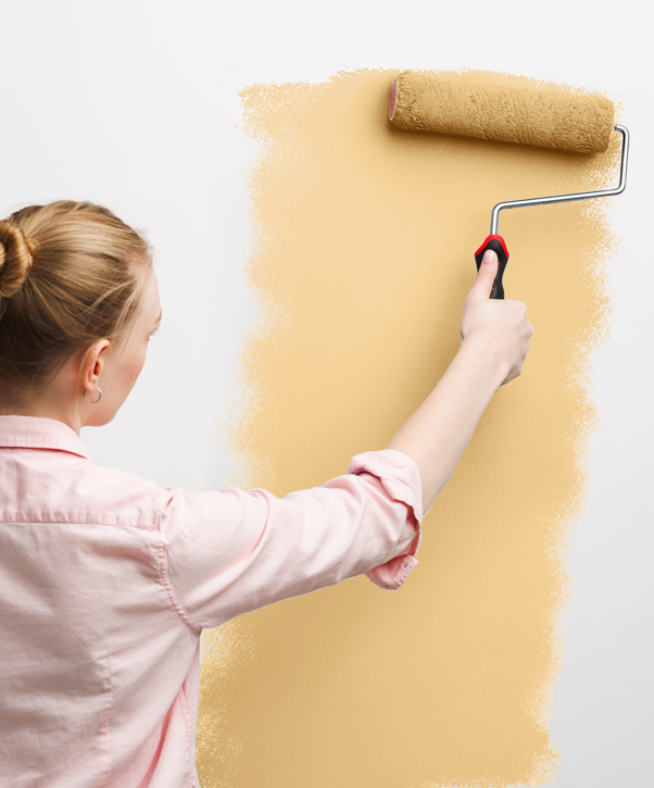 wall-painting_colorex-63-100ml-4000g