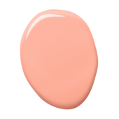 colorex-22-100ml-4000g