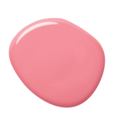 colorex-23-100ml-1500g